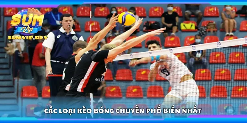Các loại kèo bóng chuyền phổ biến nhất