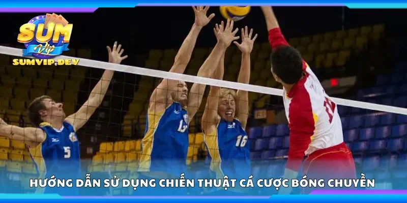 Hướng dẫn sử dụng chiến thuật cá cược bóng chuyền