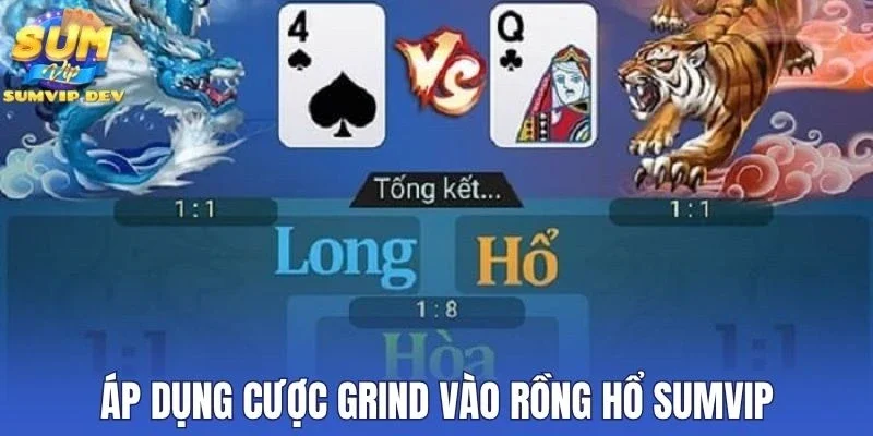 Áp dụng cược Grind vào rồng hổ